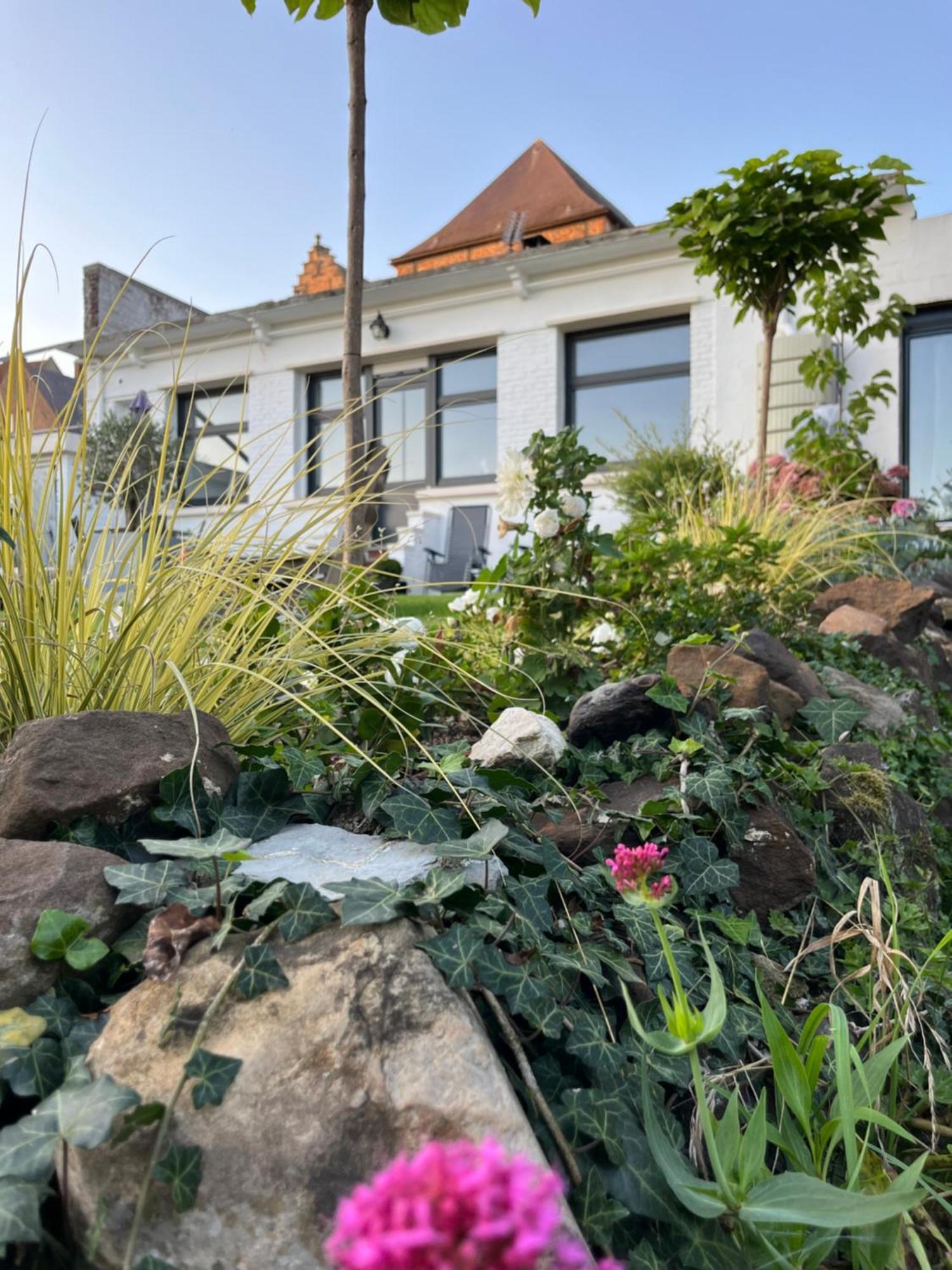 Le Petit Paradis Cassel Exterior photo