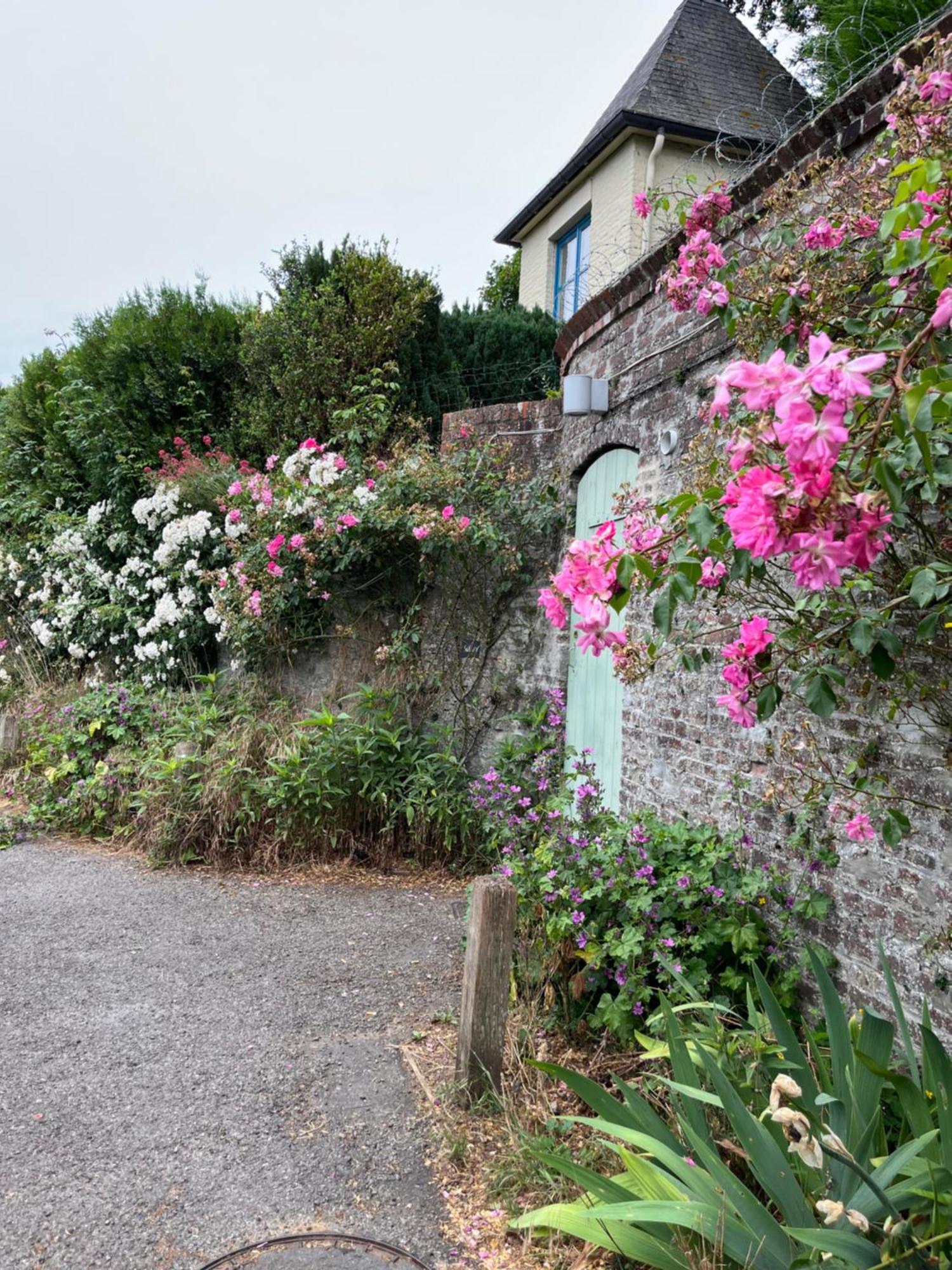 Le Petit Paradis Cassel Exterior photo