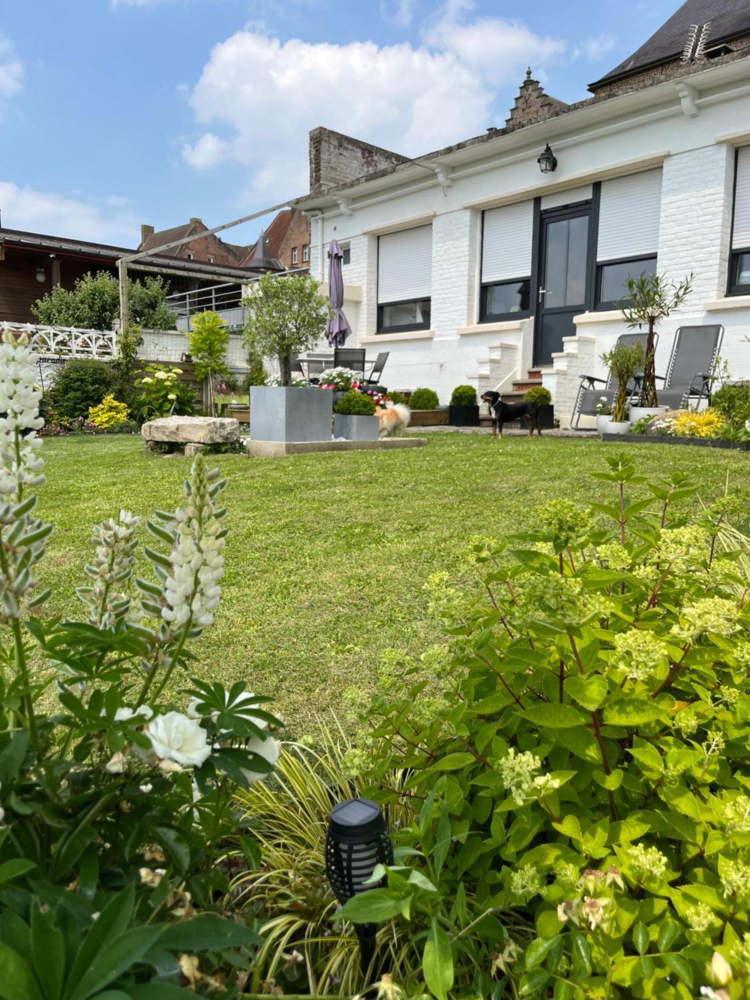 Le Petit Paradis Cassel Exterior photo